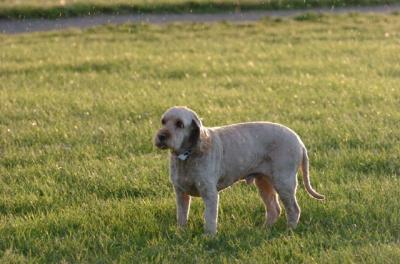 June14_06_239.JPG