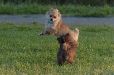 June14_06_245.JPG