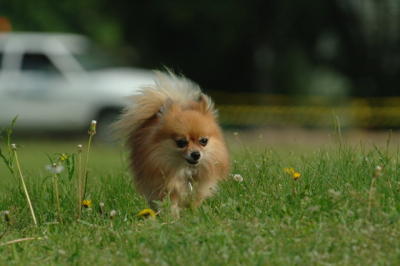 June14_06_252.JPG