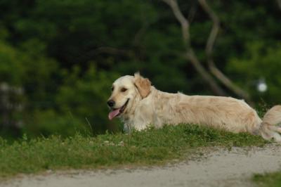 June14_06_256.JPG