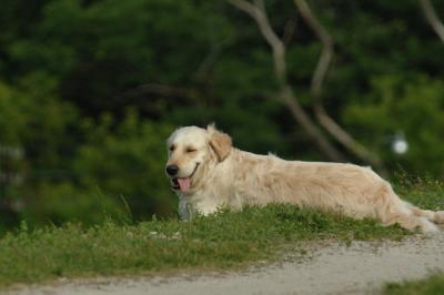 June14_06_257.JPG