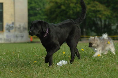 June14_06_258.JPG