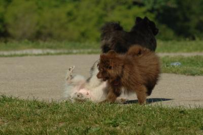 June15_06_210.JPG