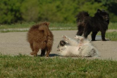 June15_06_213.JPG