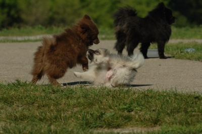 June15_06_215.JPG
