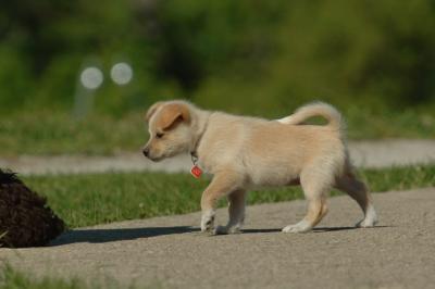 June15_06_226.JPG