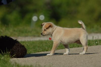June15_06_227.JPG