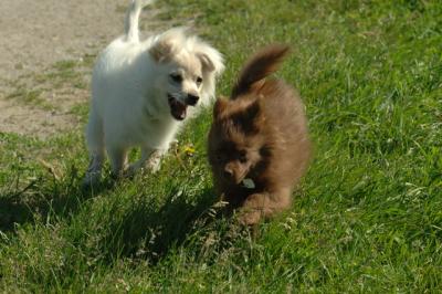 June15_06_260.JPG