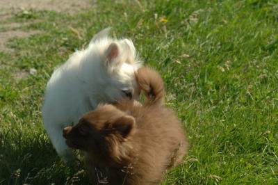 June15_06_262.JPG
