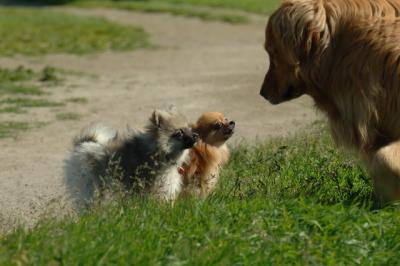 June15_06_264.JPG