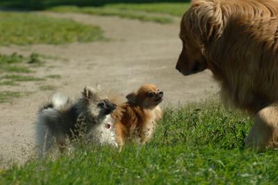 June15_06_265.JPG