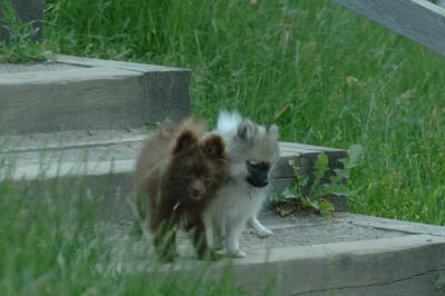June17_06_335.JPG