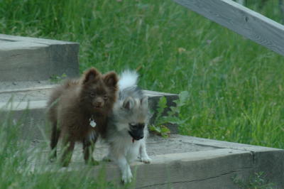June17_06_336.JPG