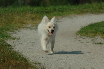 June17_06_351.JPG