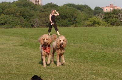 June17_06_187.JPG