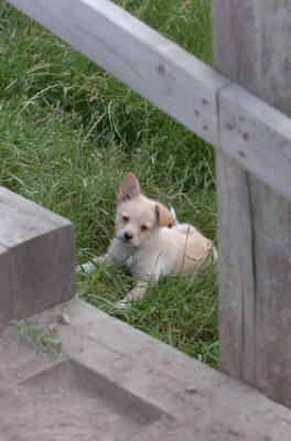 June17_06_215.JPG