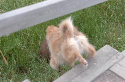 June17_06_217.JPG