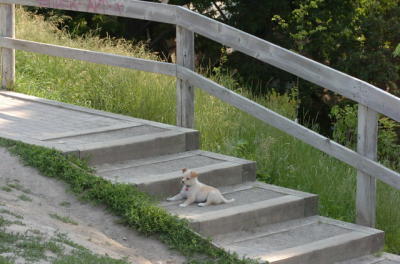 June17_06_228.JPG
