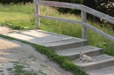 June17_06_230.JPG