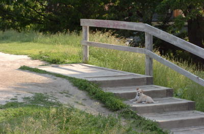 June17_06_232.JPG