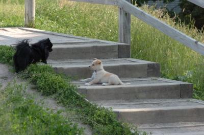 June17_06_237.JPG