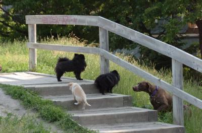 June17_06_239.JPG