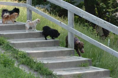 June17_06_244.JPG