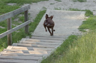 June17_06_256.JPG