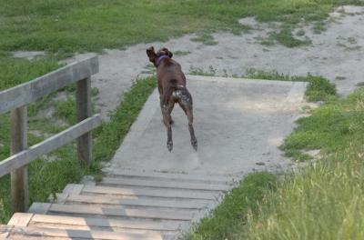 June17_06_257.JPG