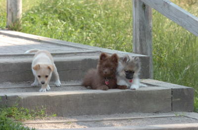 June17_06_259.JPG