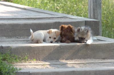 June17_06_260.JPG