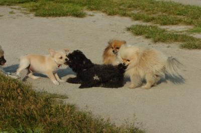 June17_06_006.JPG