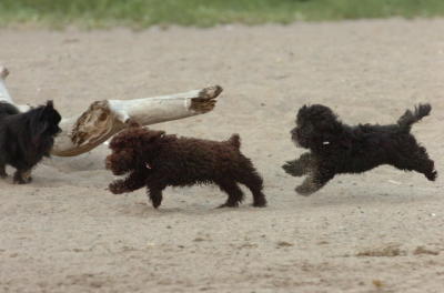June18_06_484.JPG