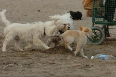 June18_06_493.JPG