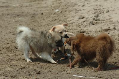 June22_06_415.JPG