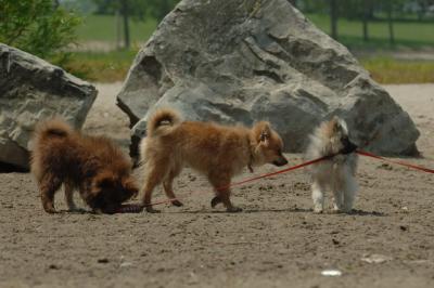 June22_06_432.JPG