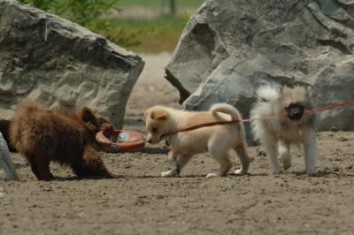 June22_06_439.JPG