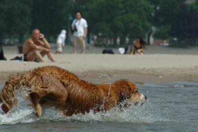 June22_06_262.JPG