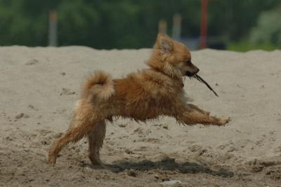 June22_06_276.JPG