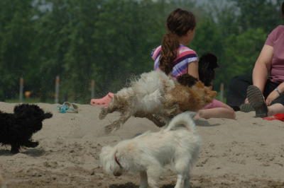 June22_06_286.JPG