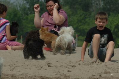 June22_06_289.JPG