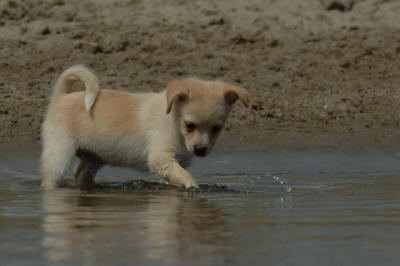 June22_06_295.JPG