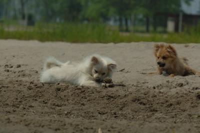 June22_06_304.JPG