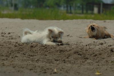 June22_06_305.JPG