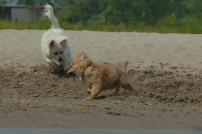 June22_06_308.JPG
