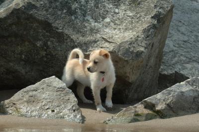 June22_06_311.JPG