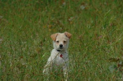 June22_06_089.JPG
