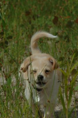 June22_06_098.JPG