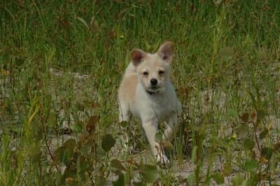June22_06_099.JPG