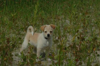 June22_06_101.JPG